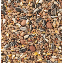 20 kg graines pour oiseaux - Comparez les prix et achetez sur
